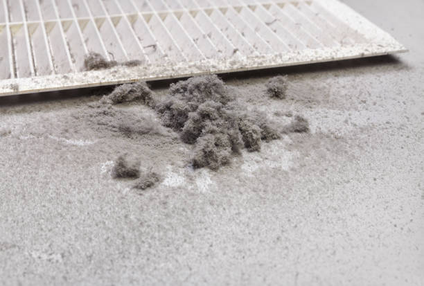 Best Best Air Duct Cleaning Company  in Verona, MS