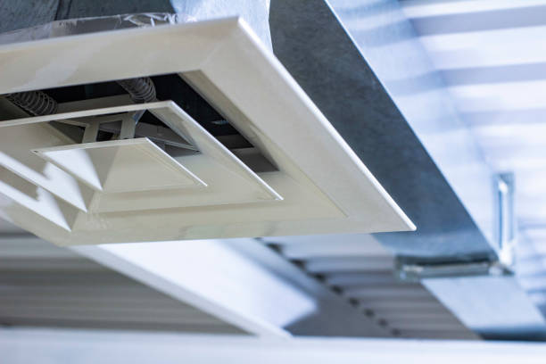 Best Air Duct Mold Removal  in Verona, MS
