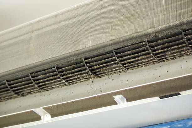 Best Commercial HVAC Duct Cleaning  in Verona, MS